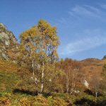 The Trossachs